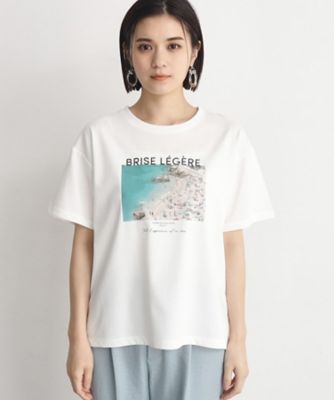 【接触冷感／ＵＶケア／アンチピリング／洗える】アソートプリントＴシャツ（２００２３１９６６５）