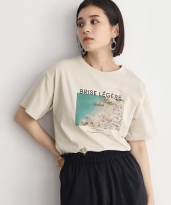 【接触冷感／ＵＶケア／アンチピリング／洗える】アソートプリントＴシャツ（２００２３１９６６５）