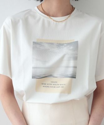サンライズフォトプリントＴシャツ（２００２３２４２７０）