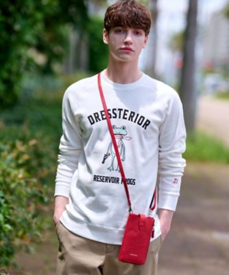 フロッグラグランフライスロングTシャツ DRESSTERIOR tシャツ フロッグラグランフライスロングTシャツ