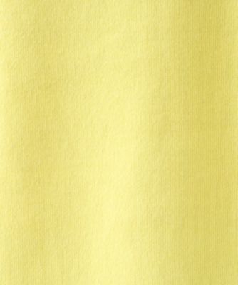 春ＳＡＬＥ！【コットン＆カシミヤ／洗える】スウェットライクニット（２００２３８６６９７）