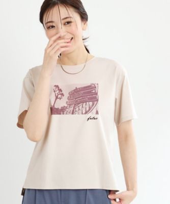 【ＵＶカット／接触冷感／マシンウォッシュ可】フォトプリントＴシャツ（２００２３９７３６６）