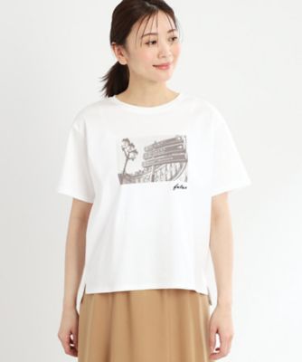 【ＵＶカット／接触冷感／マシンウォッシュ可】フォトプリントＴシャツ（２００２３９７３６６）
