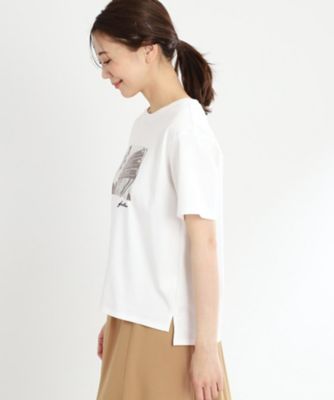 【ＵＶカット／接触冷感／マシンウォッシュ可】フォトプリントＴシャツ（２００２３９７３６６）