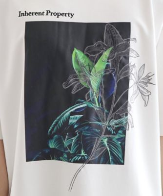 フラワープリントTシャツ（2002405270） | tk. TAKEO