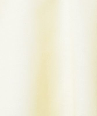 【洗える／Ｓ－ＬＬ／ＵＶ／吸水速乾】洗濯後しわになりにくい　フレンチコアリネンブレンド　ブラウス（２００２４１９４６４）