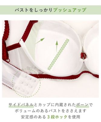 シュクリエ　ブラジャー（Ｇ－Ｉ）（２００２４２４５８４）