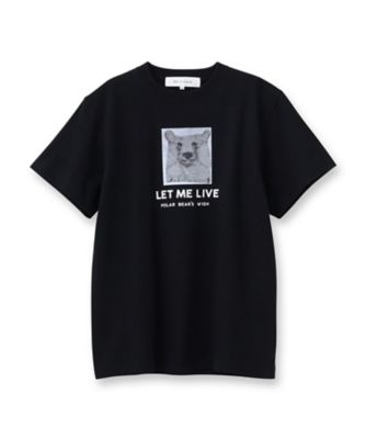 ＡＮＧＥ　ＩＮ　ＤＩＳＧＵＩＳＥ　（アンジ　イン　ディスガイズ）【別注カラーあり】しろくまＴシャツ（２００２４２５６０３）