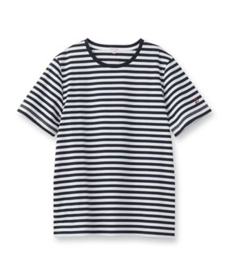 tシャツ 「接触冷感/抗菌防臭/消臭」アイスクリアコットンボーダーTシャツ レディース DRESSTERIOR｜【接触冷感/抗菌防臭/消臭】アイスクリアコットン