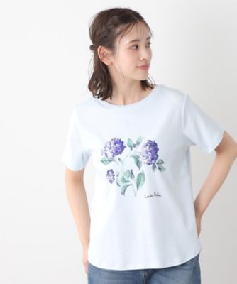【コットン１００％／洗える】ハイドランジア柄Ｔシャツ（２００２４３３２３４）