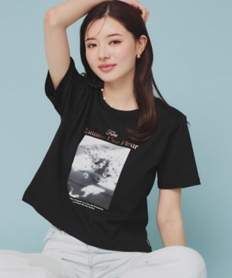 箔プリントショート丈Ｔシャツ【ＵＶ／接触冷感／洗濯機洗い可】（２００２４３３８０７）