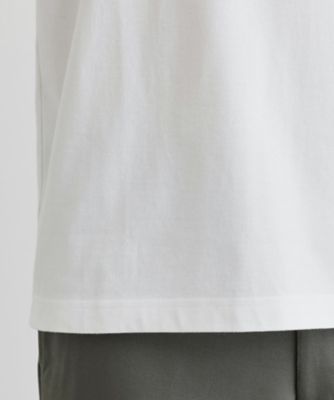 【ＬＩＭＩＴＥＤ／抗菌防臭】コットン　テーラードＴシャツ（２００２４３７９２４）