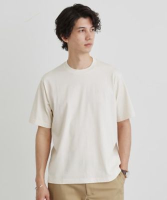 【ＬＩＭＩＴＥＤ／抗菌防臭】コットン　テーラードＴシャツ（２００２４３７９２４）