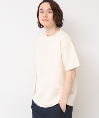【洗える】グレンチェックＴシャツ（２００２４６４５７７）