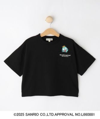 SHOO･LA･RUE (Baby&Kids)/シューラルー 【サンリオキャラクターズ】クロップドTシャツ(2002503340)