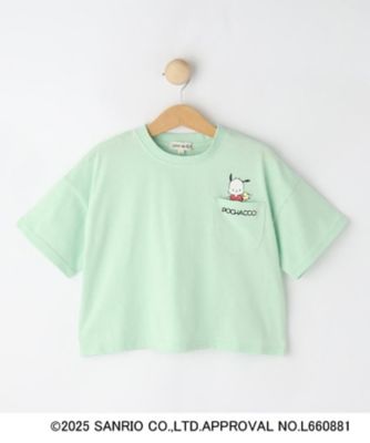 【サンリオキャラクターズ】クロップドＴシャツ（２００２５０３３４０）