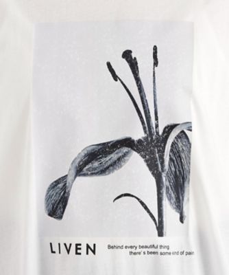 異素材切替フォトプリントＴシャツ【洗える】（２００２５０３３９８）