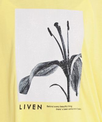 異素材切替フォトプリントＴシャツ【洗える】（２００２５０３３９８）