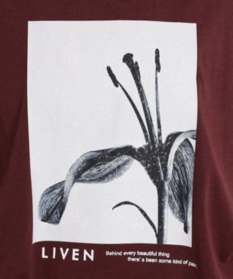 異素材切替フォトプリントＴシャツ【洗える】（２００２５０３３９８）