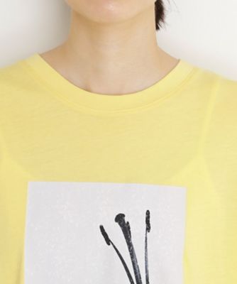 異素材切替フォトプリントＴシャツ【洗える】（２００２５０３３９８）