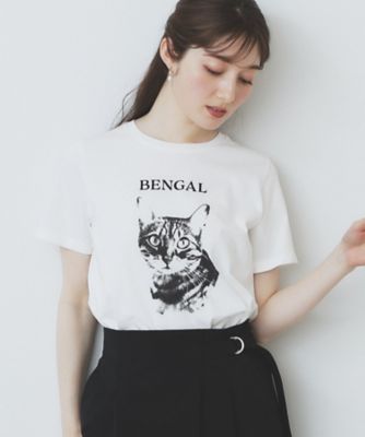 ＜index (Women)＞ねこプリントＴシャツ【洗濯機洗い可】（２００２５０６８８６）