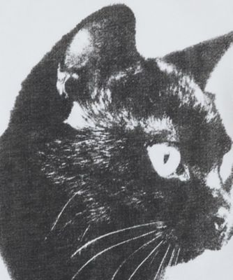 ねこプリントＴシャツ【洗濯機洗い可】（２００２５０６８８６）