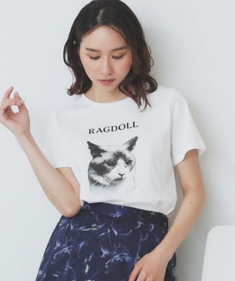 ねこプリントＴシャツ【洗濯機洗い可】（２００２５０６８８６）