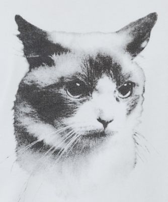 ねこプリントＴシャツ【洗濯機洗い可】（２００２５０６８８６）