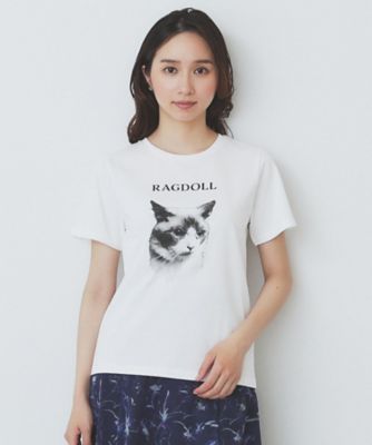 ねこプリントＴシャツ【洗濯機洗い可】（２００２５０６８８６）