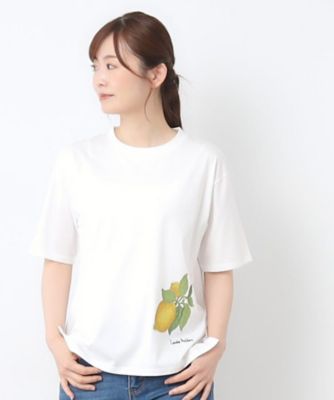 ＜LAURA ASHLEY＞【接触冷感／ＵＶカット／コットン１００％】レモン　グローブ柄　Ｔシャツ（２００２５０７０６５）