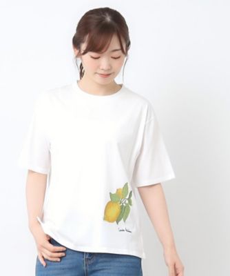 【接触冷感／ＵＶカット／コットン１００％】レモン　グローブ柄　Ｔシャツ（２００２５０７０６５）