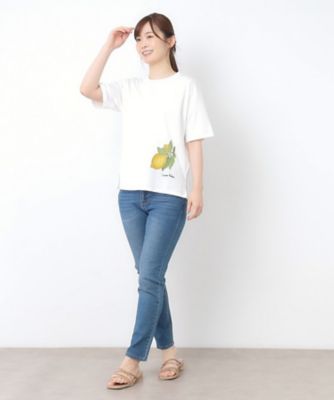 【接触冷感／ＵＶカット／コットン１００％】レモン　グローブ柄　Ｔシャツ（２００２５０７０６５）
