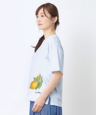 【接触冷感／ＵＶカット／コットン１００％】レモン　グローブ柄　Ｔシャツ（２００２５０７０６５）