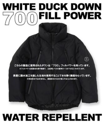 700フィルパワー／高品質ダウン】ファンクショナル ハイネック