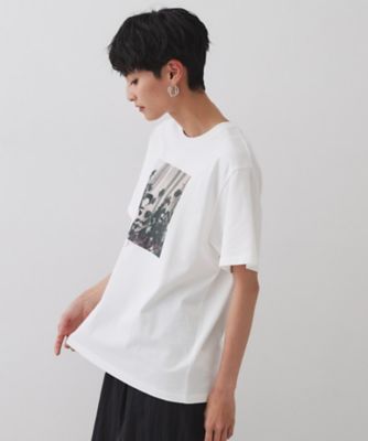 フォトプリントＴシャツ【洗濯機洗い可】（２００２５２９６５７）