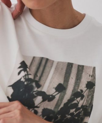 フォトプリントＴシャツ【洗濯機洗い可】（２００２５２９６５７）