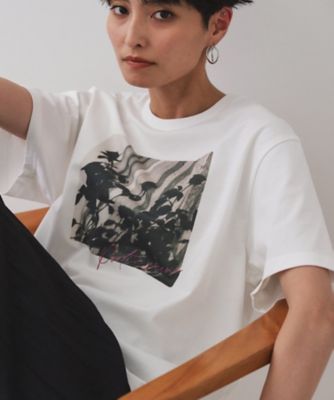 フォトプリントＴシャツ【洗濯機洗い可】（２００２５２９６５７）