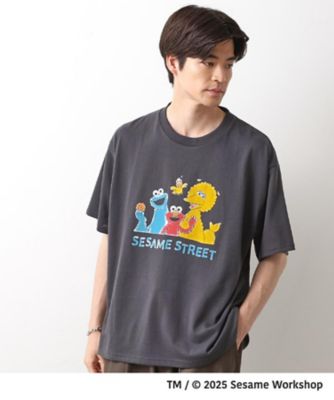 【セサミストリート】Tシャツ⑱ Mサイズ FRUIT OF THE LOOM tシャツ / セサミストリート プリント T
