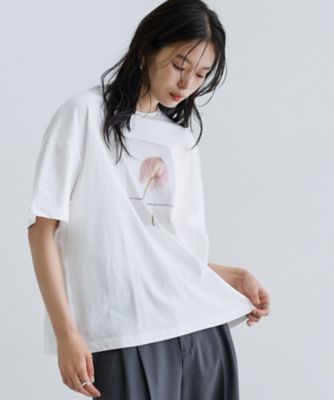 【一部店舗限定】フラワープリントＴ（２００２５３６７９３）