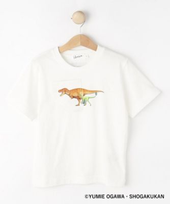 小学館】コラボ 恐竜変身Tシャツ（2002542310