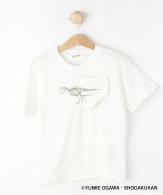 小学館】コラボ 恐竜変身Tシャツ（2002542310