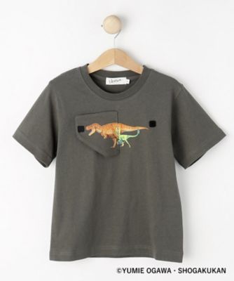 THE KEBABS ATSUI 恐竜 Tシャツ Mサイズ 古着 グッズ THE KEBABS ATSUI 恐竜 Tシャツ Mサイズ 古着 グッズ