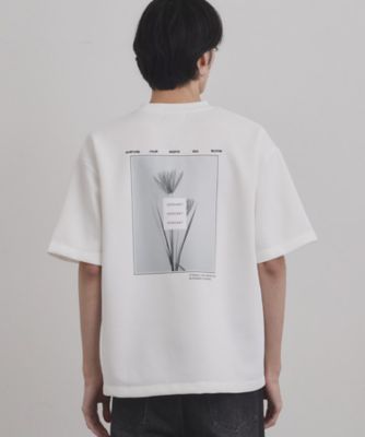 バックブルームTシャツ（2002548841） | tk. TAKEO KIKUCHI