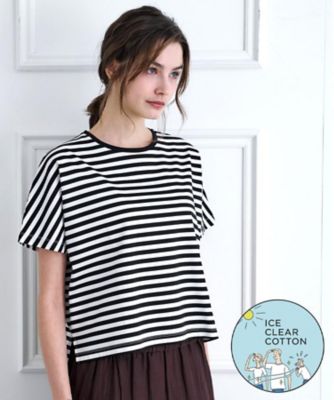 ＜DRESSTERIOR (Women)＞【接触冷感／抗菌防臭／消臭】アイスクリアコットンドルマンスリーブボーダーＴシャツ（２００２５８８８８０）