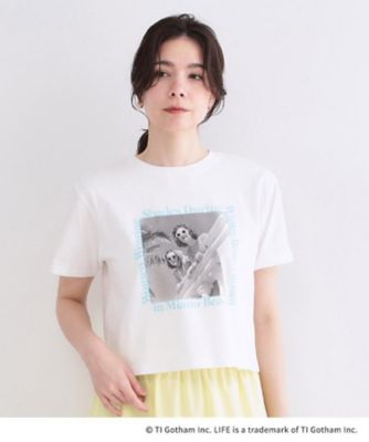 超希少 llica フォト Tシャツ オフホワイト L 超希少 llica フォト T