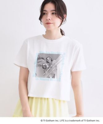 Bonne Vie フォト Tシャツ　ホワイトA 新品 LIFE PICTURE COLLECTION】アソートフォトT