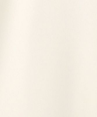 【一部店舗限定／吸水速乾／ＵＶカット／接触冷感】ストレッチジョーゼット　フレンチスリーブ　ブルゾン（ＪＫＷＳＧＭ０８６４）
