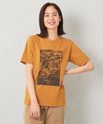 ＜JOSEPH ABBOUD (Men) ＞【ＵＮＩＳＥＸ】ヴィンテージオーガニック天竺　Ｔシャツ（ＫＨ１ＨＳＭ０６５３）