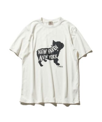 【大人気】ブルドックＴシャツ（ＫＨＯＶＩＡ０５０６）