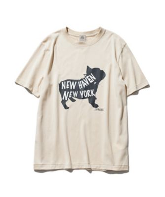 【大人気】ブルドックＴシャツ（ＫＨＯＶＩＡ０５０６）